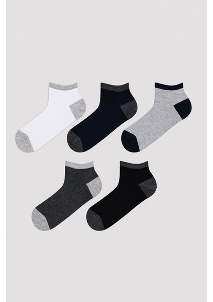 Erkek Basic Colour Block Çok Renkli 5li Patik Çorap