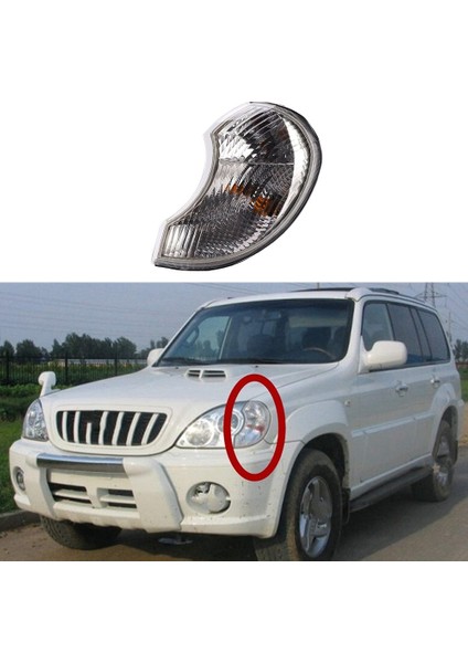 92301H1010 Köşe Lambası Kombinasyonu Ön Lh Hyundai Terracan 2001 2006 Için Viraj Lambası Geniş Işık Sol (Yurt Dışından) modelleri