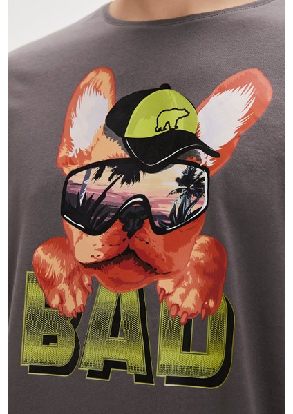 Spark Asfalt Baskılı Erkek Tişört fiyatları