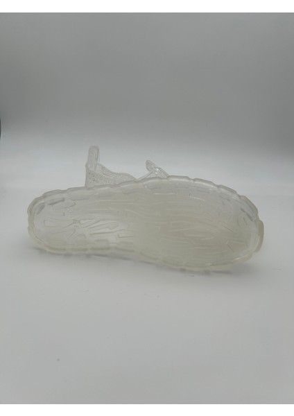 Şeffaf Plaj Deniz Ayakkabısı fırsatları