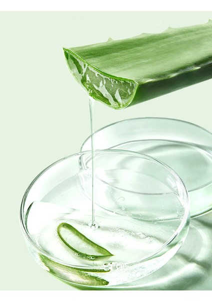 Aloe Vera Jel Ekstrat