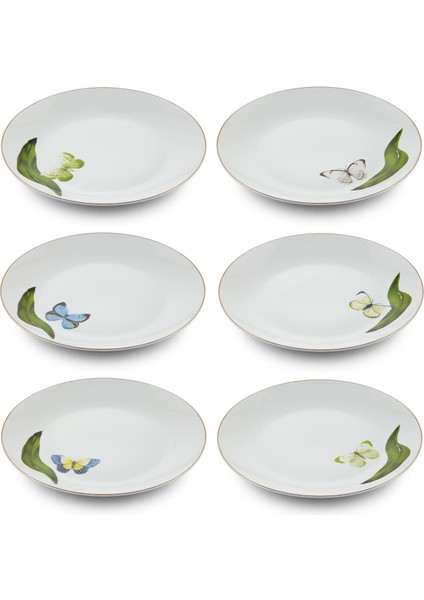 Folium Pasta Tabağı 6 Kişilik fiyatları