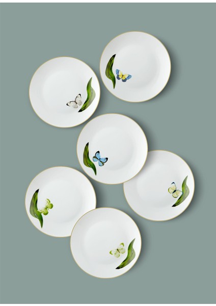 Folium Pasta Tabağı 6 Kişilik modelleri