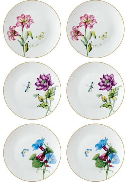 Blomma Pasta Tabağı 6 Kişilik