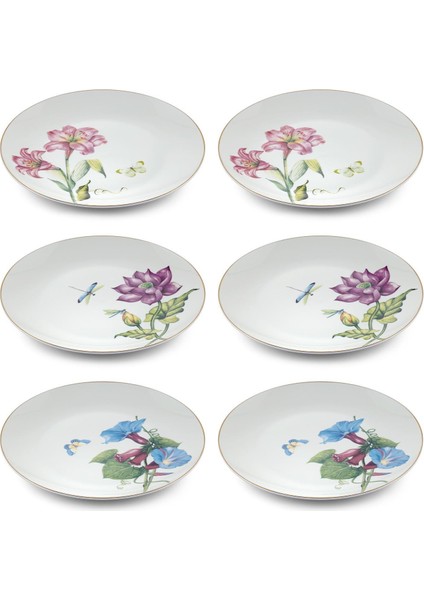 Blomma Pasta Tabağı 6 Kişilik