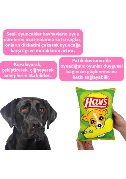 Yeşil Hav's Peluş Cips Hışırtı Sesli Köpek Oyuncağı Cips Şeklinde Ses Çıkaran Köpek Oyun Arkadaşı