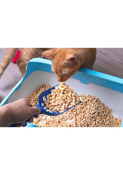 Çam Pelet Kedi Kumu 10 Lt Pellet Cat Litter indirimleri