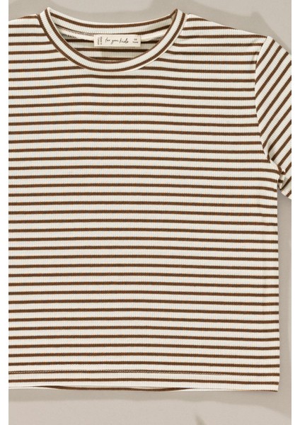 Çizgii Tshirt Şort Kahve Alt Üst Takım