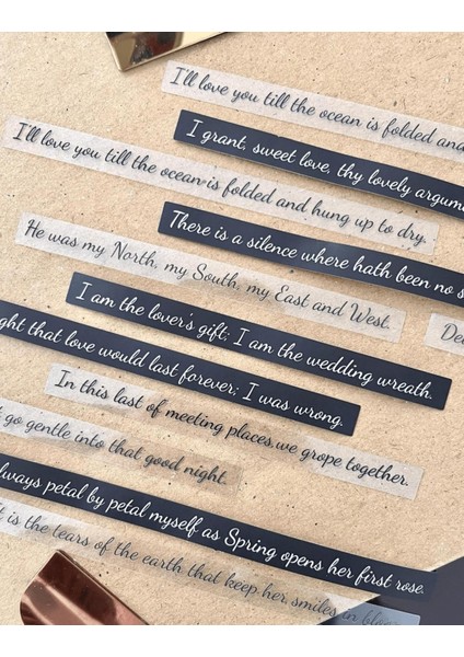 Treasure Of Heart Serisinden Poem Under The Moon 40 Adet Ingilizce Yazılı Paket Sticker fırsatları