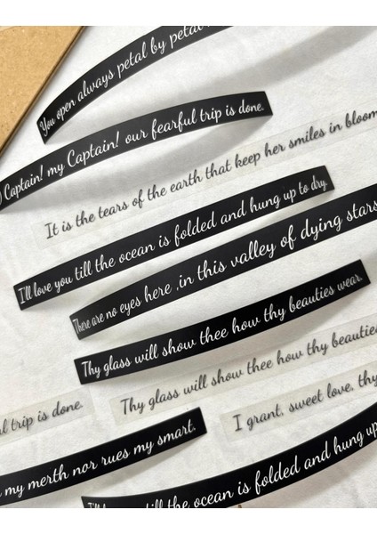 Treasure Of Heart Serisinden Poem Under The Moon 40 Adet Ingilizce Yazılı Paket Sticker indirimleri