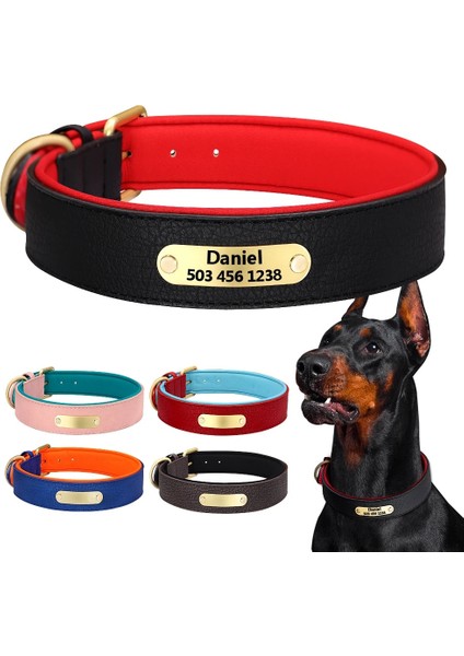 Siyah Stil Xl Boyutu Özel Kazınmış Köpek Yaka Deri Yastıklı Köpek Tasmaları Kişiselleştirilmiş Kimlik Plakası Etiketi ile Küçük Büyük Köpekler Için 2 Katmanlar Pitbull (Yurt Dışından) fiyatları