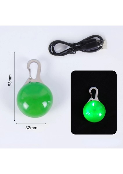 Yeşil Tarzı Gece Güvenlik Köpek Tasması Parlayan Kolye USB Şarj LED Flaş Işıkları Evcil Hayvan Tasması Aksesuarları Karanlıkta Parlayan Kolye Köpek Tasması (Yurt Dışından)