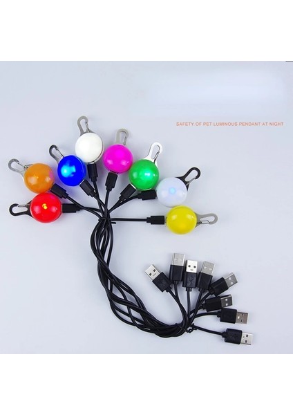 Yeşil Tarzı Gece Güvenlik Köpek Tasması Parlayan Kolye USB Şarj LED Flaş Işıkları Evcil Hayvan Tasması Aksesuarları Karanlıkta Parlayan Kolye Köpek Tasması (Yurt Dışından) indirimleri
