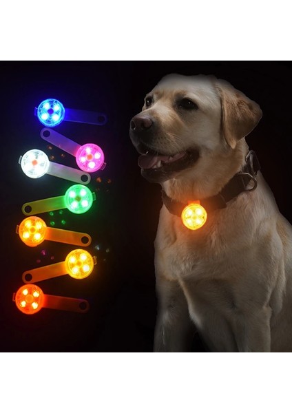Mavi1 Tarzı Ipx7 Su Geçirmez LED Pet Köpek Kedi Yaka Kolye Gece Güvenlik Aydınlık Işık Yanıp Sönen Kolye Işık ile Köpek Cataccessories (Yurt Dışından) modelleri