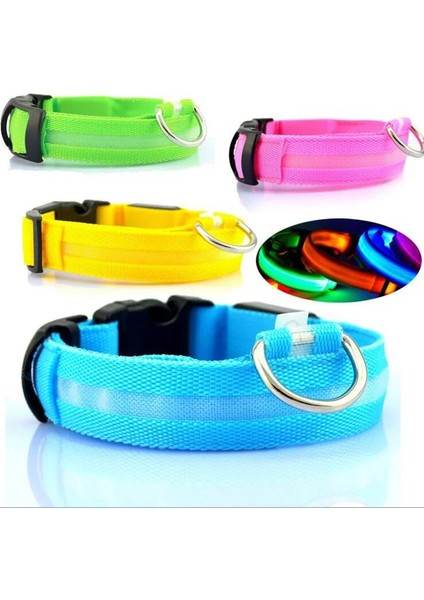 Kolye-Yeşil Tarzı Xs Boyutu Yudodo Naylon LED Pet Köpek Tasmaları Hayvanlar Için Gece Güvenliği Yanıp Sönen Kızdırma Köpek Tasma Köpekler Aydınlık Floresan Yaka Pet Malzemeleri (Yurt Dışından) indirimleri