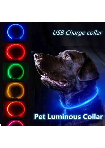 Sarı Stil 35CM LED USB Köpek Tasması Pet Köpek Tasması Gece Köpek Tasmaları Parlayan Aydınlık Şarj Edilebilir LED Gece Güvenlik Colier Lumineux Pour Chien (Yurt Dışından)
