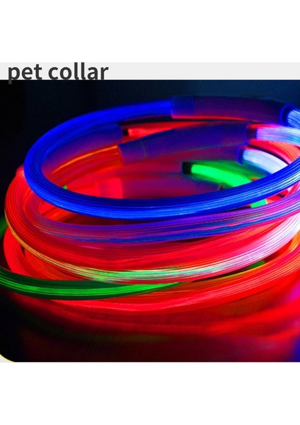 Sarı Stil 35CM LED USB Köpek Tasması Pet Köpek Tasması Gece Köpek Tasmaları Parlayan Aydınlık Şarj Edilebilir LED Gece Güvenlik Colier Lumineux Pour Chien (Yurt Dışından)