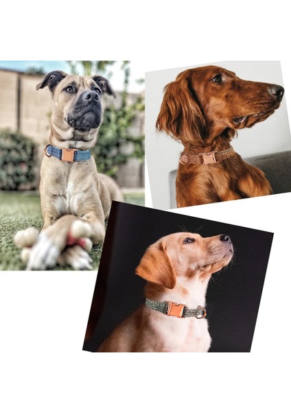 Pembe Tarzı M Boyutu Özel Köpek Tasması Kişiselleştirilmiş Kazınmış Kımlık Tabela Aksesuarları Küçük Orta Büyük Köpekler Için Evcil Hayvan Tasmaları Fransız Bulldog Perro (Yurt Dışından) fırsatları
