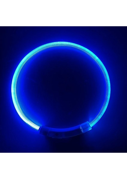 Mavi Stil 50CM LED USB Köpek Tasması Pet Köpek Tasması Gece Köpek Tasmaları Parlayan Aydınlık Şarj Edilebilir LED Gece Güvenlik Colier Lumineux Pour Chien (Yurt Dışından)