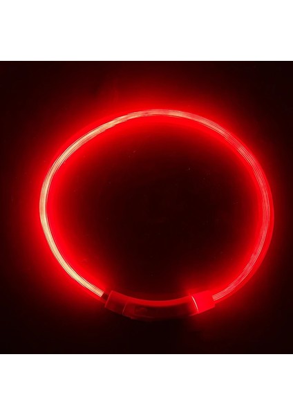 Kırmızı Stil 50CM LED USB Köpek Tasması Pet Köpek Tasması Gece Köpek Tasmaları Parlayan Aydınlık Şarj Edilebilir LED Gece Güvenlik Colier Lumineux Pour Chien (Yurt Dışından)