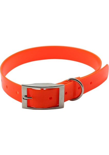 Beyaz Stil L Boyutu Yüksek Li Büyük Köpek Tasması Ayarlanabilir Tpu Dayanıklı Su Geçirmez Pet Köpek Tasması Köpek Kayışı Saf Renk Köpek Aksesuarları (Yurt Dışından) fiyatları