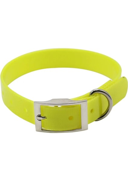 Beyaz Stil L Boyutu Yüksek Li Büyük Köpek Tasması Ayarlanabilir Tpu Dayanıklı Su Geçirmez Pet Köpek Tasması Köpek Kayışı Saf Renk Köpek Aksesuarları (Yurt Dışından) fırsatları