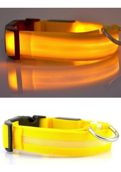 Yaka-Sarı Tarzı Xs Boyutu Yudodo Naylon LED Pet Köpek Tasmaları Hayvanlar Için Gece Güvenliği Yanıp Sönen Kızdırma Köpek Tasma Köpekler Aydınlık Floresan Yaka Pet Malzemeleri (Yurt Dışından)