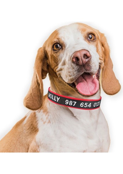 Pembe Tarzı L Boyutu Ayarlanabilir Özel Naylon Köpek Tasması Kişiselleştirilmiş Nakış Köpek Tasması Yavru Unisex Köpek Tasması Küçük Büyük Pet Köpek Aksesuarları (Yurt Dışından) fırsatları