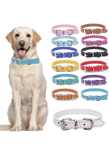 Mor Tarzı 51X2.5CM Evcil Hayvan Malzemeleri Köpek Tasması Alaşım Toka Köpek Zinciri Kedi Kolye Boyutu Ayarlanabilir Küçük ve Orta Boy Köpek Tasmaları Köpek Malzemeleri (Yurt Dışından) indirimleri