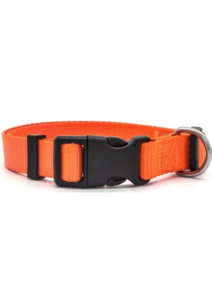 Turuncu Tarzı Xl Boyutu Dayanıklı Katı Köpek Tasmaları Naylon Ayarlanabilir Köpek Kolye Küçük Orta Büyük Köpekler Çok Renkli Köpek Koşum Köpek Tasması Aksesuarları (Yurt Dışından)