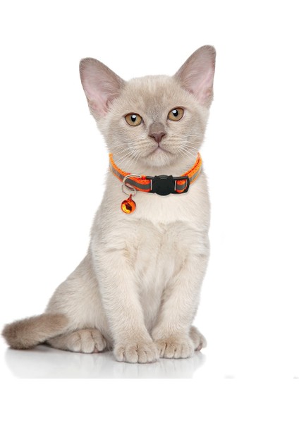 No.11 Tarzı Ayarlanabilir Evcil Hayvan Tasmaları Bells ile Sevimli Kolye Yaka Kedi Köpek Tasmaları Açık Yansıtıcı Küçük Köpek Tasmaları Evcil Hayvan Aksesuarları (Yurt Dışından) fırsatları