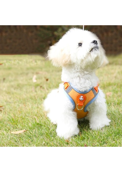 7-Kırmızı Tarzı S Beden Ayarlanabilir Köpek Koşum Hiçbir Çekme Sevimli Kedi Yumuşak Yürüyüş Tasma Seti Pet Köpekler Tasması Yelek Chihuahua Beagle Küçük Orta Köpekler Için (Yurt Dışından) fiyatları