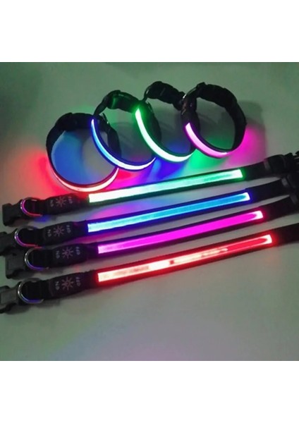 Mavi Stil M Boyutu LED Parlayan Köpek Tasması Ayarlanabilir Yanıp Sönen USB Şarj Aydınlık Yaka Gece Lambası Demeti Büyük Orta Küçük Köpekler Için Evcil Hayvan Ürünleri (Yurt Dışından) fiyatları