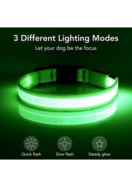 Mavi Stil M Boyutu LED Parlayan Köpek Tasması Ayarlanabilir Yanıp Sönen USB Şarj Aydınlık Yaka Gece Lambası Demeti Büyük Orta Küçük Köpekler Için Evcil Hayvan Ürünleri (Yurt Dışından) modelleri