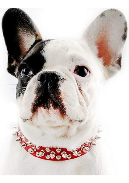 Kırmızı Stil M Boyutu Anti-Bite Çivili Çivili Pet Köpek Tasması Pu Deri Köpekler Için Spor Yastıklı Bulldog Pug Köpek Büyük Köpek Tasmaları Evcil Hayvan Malzemeleri (Yurt Dışından) modelleri