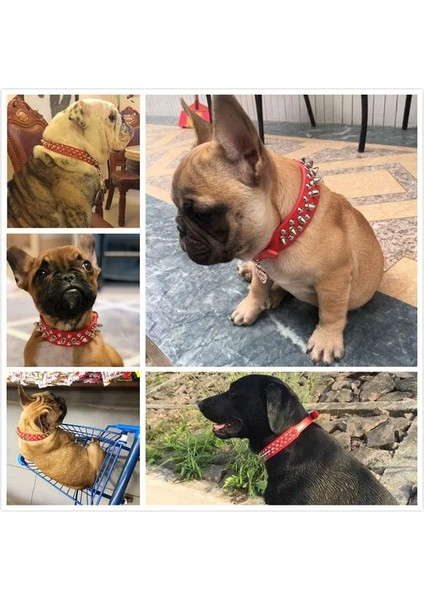 Kırmızı Stil M Boyutu Anti-Bite Çivili Çivili Pet Köpek Tasması Pu Deri Köpekler Için Spor Yastıklı Bulldog Pug Köpek Büyük Köpek Tasmaları Evcil Hayvan Malzemeleri (Yurt Dışından) indirimleri