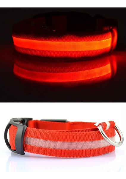 Yaka-Kırmızı Tarzı Xs Boyutu Yudodo Naylon LED Pet Köpek Tasmaları Hayvanlar Için Gece Güvenliği Yanıp Sönen Kızdırma Köpek Tasma Köpekler Aydınlık Floresan Yaka Pet Malzemeleri (Yurt Dışından)