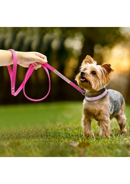 Sarı Stil L Boyutu Bling Rhinestone Köpek Kedi Tasmaları Deri Pet Köpek Yavru Yaka Yürüyüş Tasma Kurşun Küçük Orta Köpekler Için Catuahua Pug Yorkie (Yurt Dışından) indirimleri