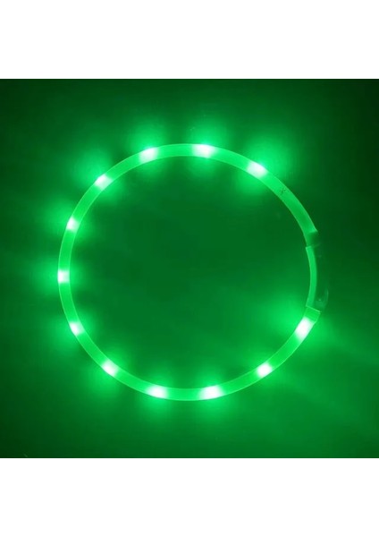 Leopar Tarzı S Beden LED Işık Köpek Tasması Ayrılabilir Parlayan USB Şarj Aydınlık Tasma Büyük Kedi Yaka Küçük Parlak Labrador Evcil Köpekler Ürünleri (Yurt Dışından)