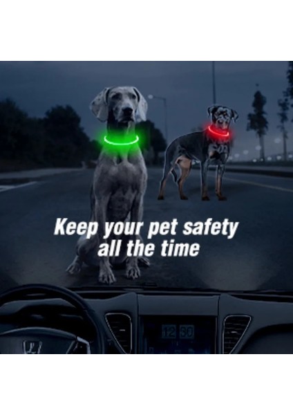 Leopar Tarzı S Beden LED Işık Köpek Tasması Ayrılabilir Parlayan USB Şarj Aydınlık Tasma Büyük Kedi Yaka Küçük Parlak Labrador Evcil Köpekler Ürünleri (Yurt Dışından) indirimleri