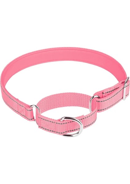 Pembe Tarzı S Beden Martingale Yansıtıcı Naylon Köpek Tasması Ayarlanabilir Yumuşak Nefes Alabilir Neopren Yastıklı Yaka Küçük Orta Büyük Köpekler Için Eğitim (Yurt Dışından)