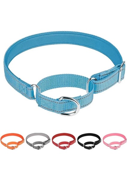 Pembe Tarzı S Beden Martingale Yansıtıcı Naylon Köpek Tasması Ayarlanabilir Yumuşak Nefes Alabilir Neopren Yastıklı Yaka Küçük Orta Büyük Köpekler Için Eğitim (Yurt Dışından) fiyatları