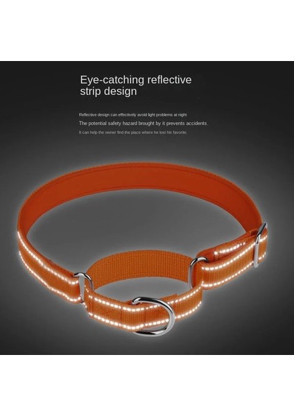 Pembe Tarzı S Beden Martingale Yansıtıcı Naylon Köpek Tasması Ayarlanabilir Yumuşak Nefes Alabilir Neopren Yastıklı Yaka Küçük Orta Büyük Köpekler Için Eğitim (Yurt Dışından) modelleri