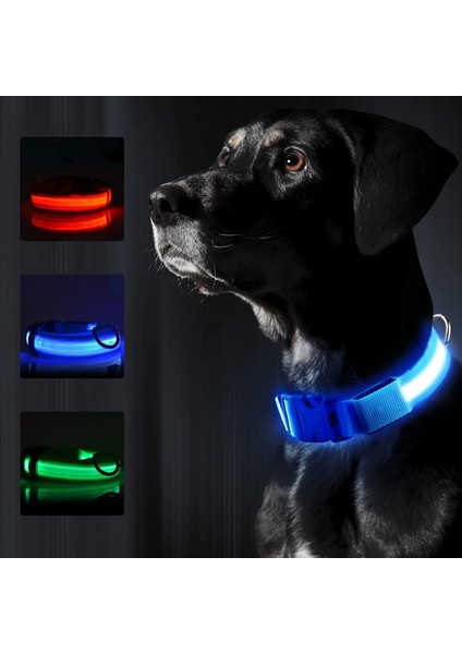 Kırmızı Stil S Beden LED Köpek Tasması USB Şarj Edilebilir Parlak ve Yüksek Görünürlük Işıklı Glow Yaka Evcil Hayvan Gece Yürüyüşü Için Ayarlanabilir Aydınlık Yaka (Yurt Dışından)