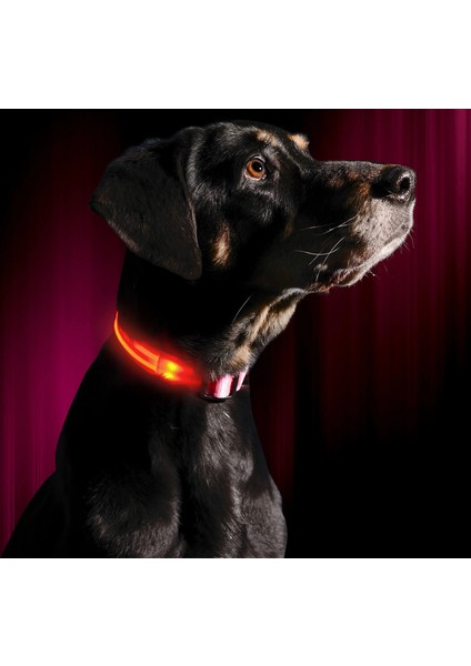 Pembe Tarzı L Boyutu LED Köpek Tasması USB Şarj Edilebilir Parlak ve Yüksek Görünürlük Işıklı Glow Yaka Evcil Hayvan Gece Yürüyüşü Için Ayarlanabilir Aydınlık Yaka (Yurt Dışından)