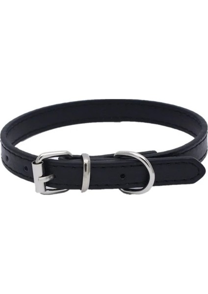 Yeşil Tarzı 30X1.3CM Evcil Hayvan Malzemeleri Köpek Tasması Alaşım Toka Köpek Zinciri Kedi Kolye Boyutu Ayarlanabilir Küçük ve Orta Boy Köpek Tasmaları Köpek Malzemeleri (Yurt Dışından) modelleri