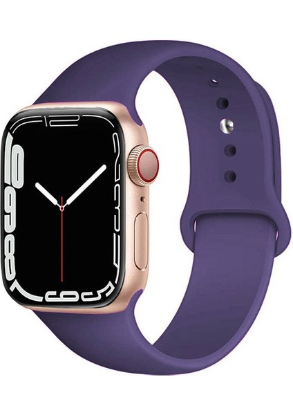 CaseWorld Apple Watch 2/ 3/ 4/ 5/ 6/ 7/ 8/ Se Uyumlu Kayış 38/ 40/ 41mm Yumuşak Renkli Silikon Large Kordon - Derin Mor