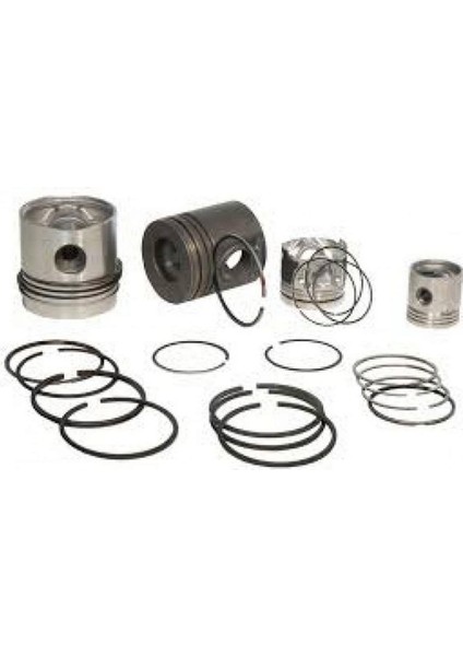 Motor Piston Segman Passat-Caddy-Golf-Transporter 79.5mm Std 1.9tdi- 2.4tdi 1y Aja Aab 24PİM 87-990100-32 18051