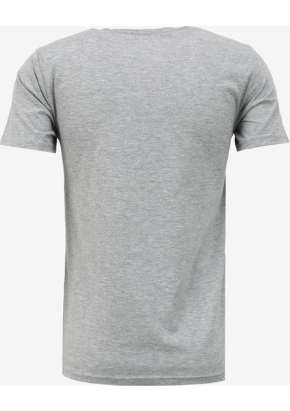 Bisiklet Yaka Gri Melanj Erkek T-Shirt 232 Lcm 242025 Bernt Gri Melanj fiyatları