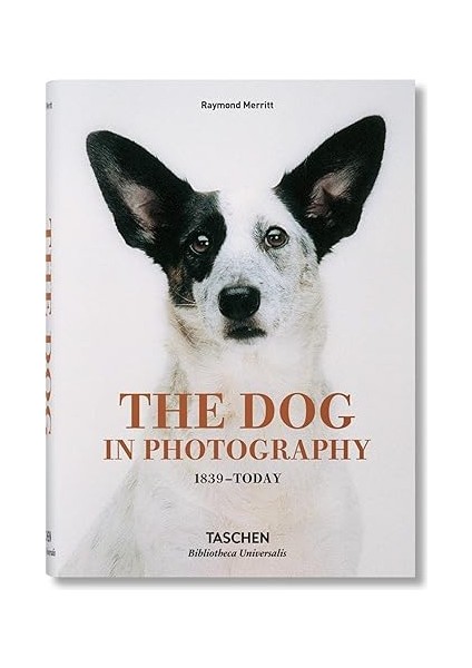 Okul Öncesi Evde Kız Etkinlik Seti indirimleri